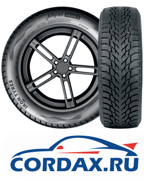 Зимняя шина Ikon 225/55 R17 Autograph Snow 3 101R