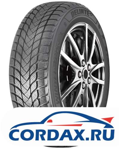Зимняя шина Delinte 205/55 R17 Winter WD6 95H