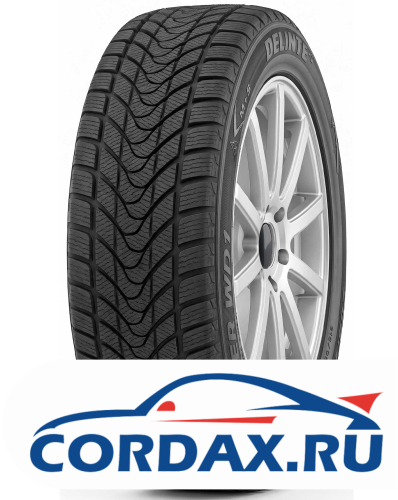 Зимняя шина Delinte 215/65 R16 Winter WD1 98H