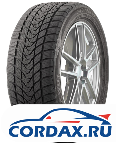 Зимняя шина Delinte 205/65 R16 Winter WD1 95T
