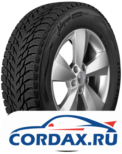 Зимняя шина Ikon 235/50 R19 Autograph Snow 3 SUV 103T