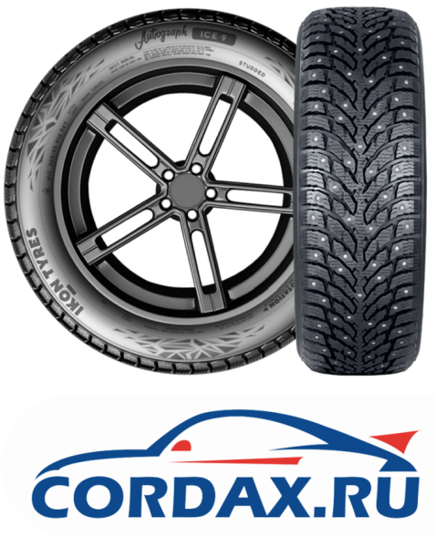 Зимняя шина Ikon 215/55 R16 Autograph Ice 9 97T Шипы