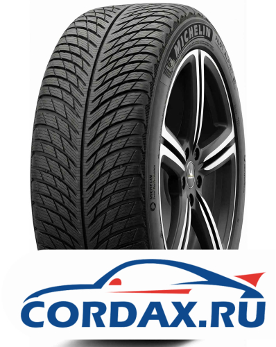 Зимняя шина Michelin 315/35 R20 Pilot Alpin 5 110V