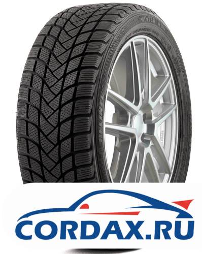 Зимняя шина Delinte 225/45 R18 Winter WD6 95H