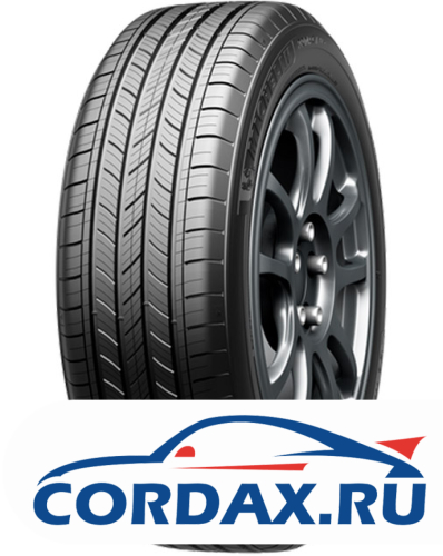 Летняя шина Michelin 275/55 R20 PRIMACY ALL SEASON 117W