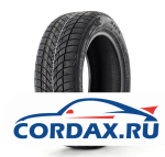 Зимняя шина RAPID 205/55 R16 BLUESNOW 91V