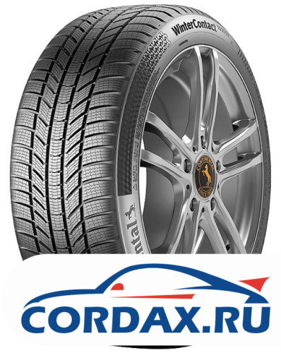 Зимняя шина Continental 255/55 R20 WinterContact TS 870 P 110V