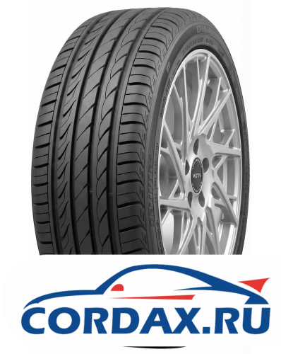Летняя шина Delinte 205/55 R16 DH2 94W